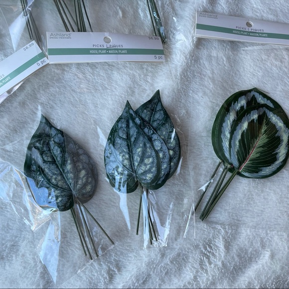 House plant leaf picks - Picture 4 of 4